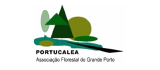 Portucalea