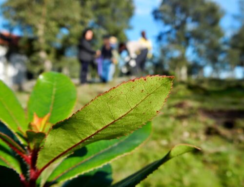 CONVITE | Manutenção e percurso | Santo Tirso | 21 maio