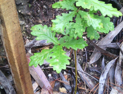 CONVITE | Manutenção | Valongo | 14 junho