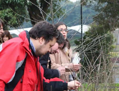 FUTURO promove formação de técnicos