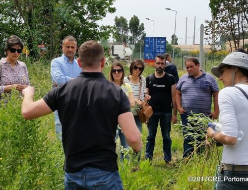 Missão Baccharis: primeiro workshop reúne 25 técnicos