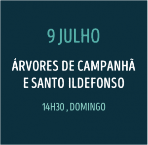 jpg-site-rota3