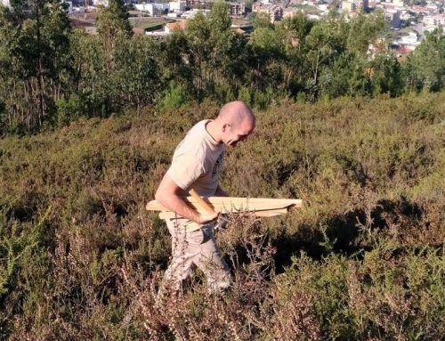 AMO Portugal colabora na manutenção de área em Valongo