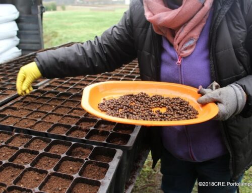 Viveiro do Leça: Bolsa de Voluntários