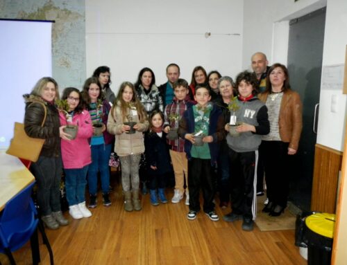 Crianças de S. João da Madeira plantam árvores no mapa