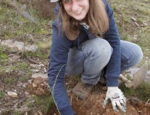 Reforços para o FUTURO