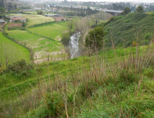 Detalhes | Matosinhos | 20 março