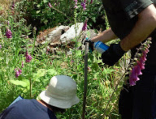 Campanha de monitorização em curso!