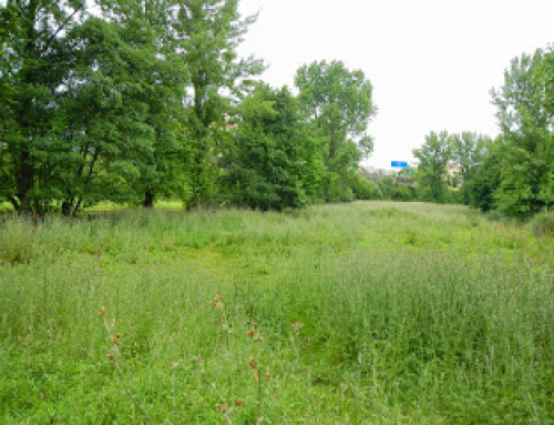 Detalhes | Porto | 6 junho