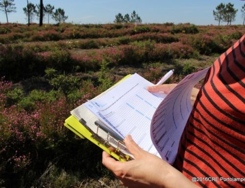 Procuramos uma pessoa para a nossa equipa