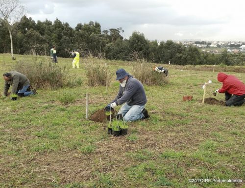 Parque da Ciência de Matosinhos: os trabalhos continuam