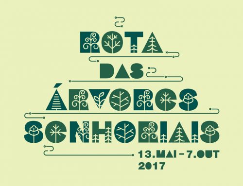 Primeira Rota das Árvores de Santa Maria da Feira