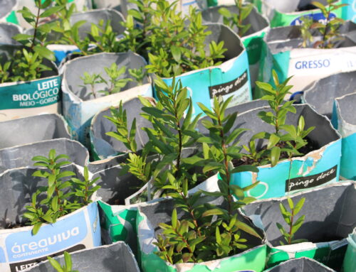 Escolas da Área Metropolitana do Porto ampliam a bolsa de plantas do FUTURO