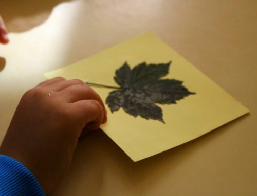 Rede de Escolas do FUTURO: é tempo de parar, refletir e inovar