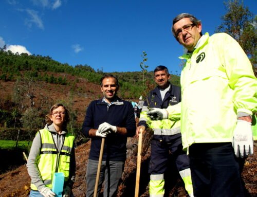 Plantada a árvore 100.000 do FUTURO!