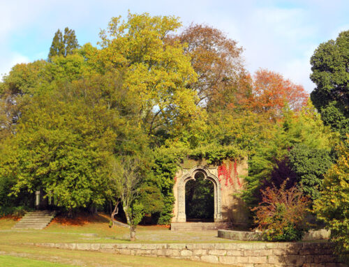 Convite | Matosinhos | 17 novembro