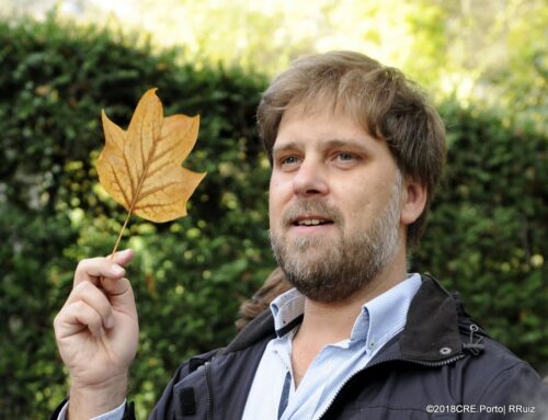 Árvores da Quinta da Conceição: miradouros sobre o Leça