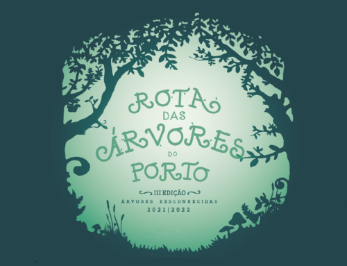 CONVITE | Rota das Árvores do Porto | 19 de novembro