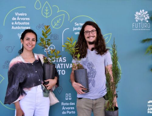 Jardins privados do Porto contribuem com mais 900 árvores à cidade