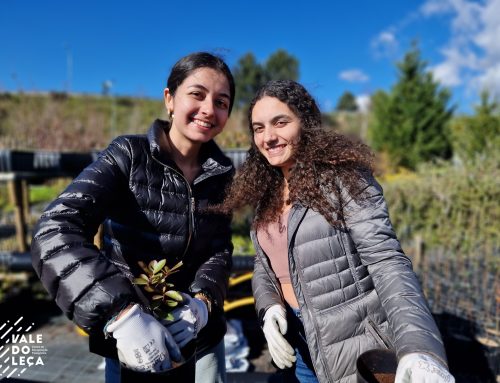 Rede de Voluntariado em ação no Viveiro do Leça