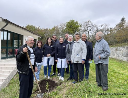 Exploradores da floresta nativa em Santo Tirso