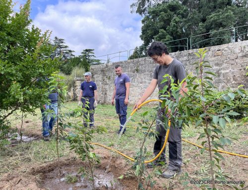 Nova sebe autóctone no Viveiro do Porto