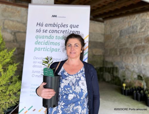 Matosinhos oferece árvores a Proprietários de Coração Grande