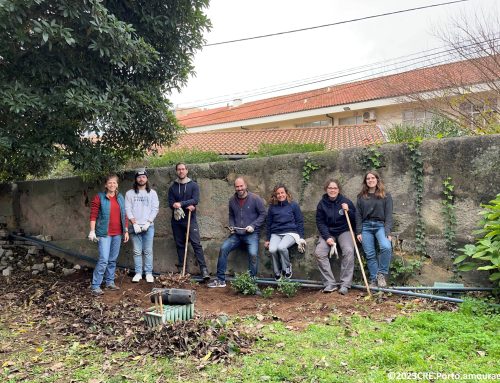 Colaboradores da Católica no Porto com as “Mãos na terra: por um campus mais sustentável”