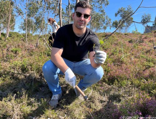 Mecenas Eurest e Secundária de S. Pedro da Cova controlam háquea-picante em Gondomar