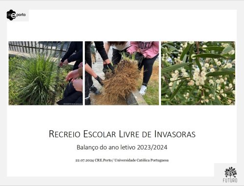 Balanço do projeto Recreio Escolar Livre de Invasoras 2023/24