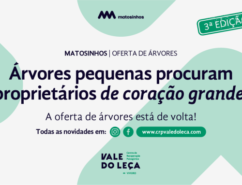 Matosinhos oferece árvores nativas aos seus munícipes