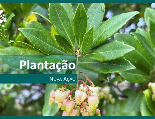 CONVITE | Gondomar | 29 março 2025