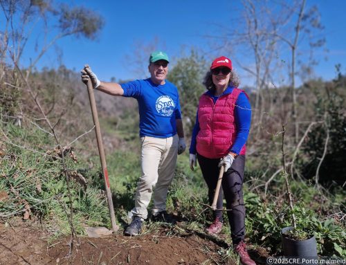 Voluntários plantam 340 nativas em Foz do Sousa