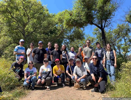 Critical Techworks apoia a floresta nativa em Gondomar