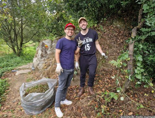 Critical TechWorks participa no controlo da erva-da-fortuna no corredor ecológico de Jancido, Gondomar