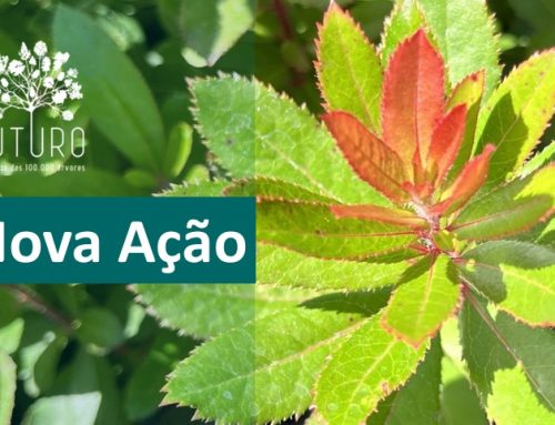 CONVITE | Gondomar | 22 novembro 2025