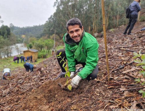Voluntários plantam bosque nativo em Couce, Valongo