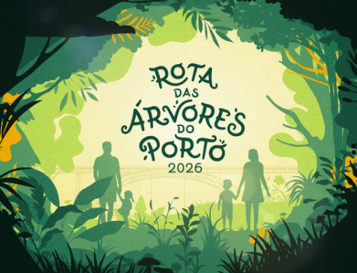 Arranque da Rota das Árvores do Porto 2026