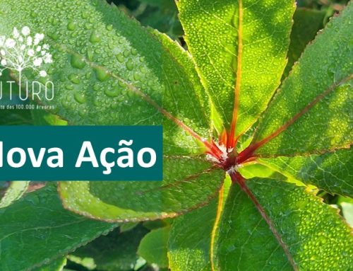 CONVITE | Valongo | 21 março 2026