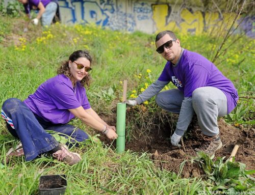 FedEx Portugal mobiliza 51 “Guardiões dos Rios” para ação de plantação em Valbom