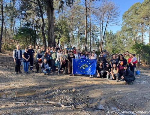 Serra de Santa Justa dá as boas-vindas a mais árvores nativas