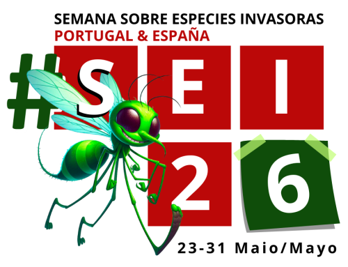 Convite | Valongo | 24 maio 2026