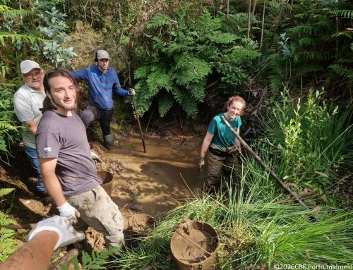 Voluntários cuidam da presa que abastece aldeia do Couce, em Valongo
