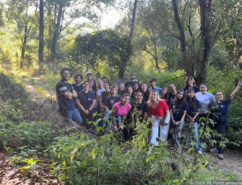 Alunos da Católica iniciam a vida académica a contribuir para o restauro ecológico do bosque de Jancido