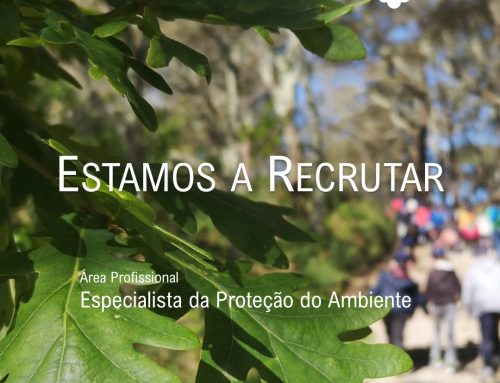 Estágio +Talento: candidaturas abertas até 23 de agosto 2026
