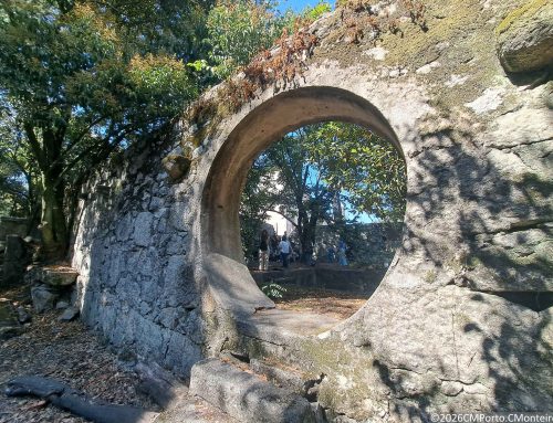 O jardim do homem que fazia jardins
