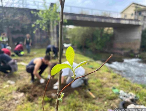Jovens e adultos unidos para celebrar o Dia Internacional das Florestas 