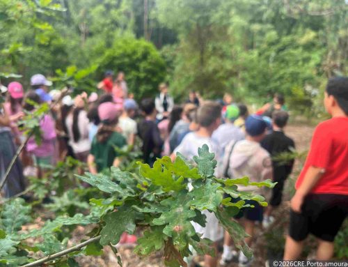 Assembleia de Crianças de Santa Maria da Feira participa em ação na Mata da Quinta do Castelo